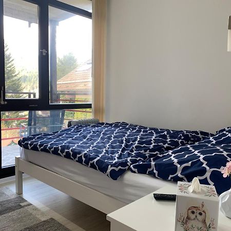 Kleines Einzimmer-Apartment 23 Bad Wildbad Exteriör bild