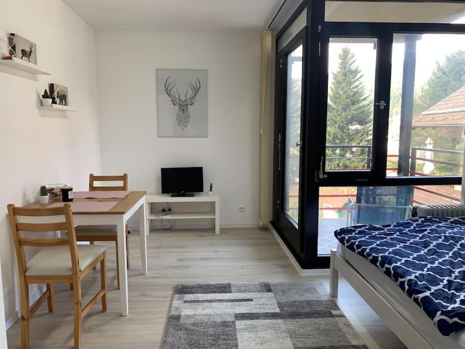 Kleines Einzimmer-Apartment 23 Bad Wildbad Exteriör bild