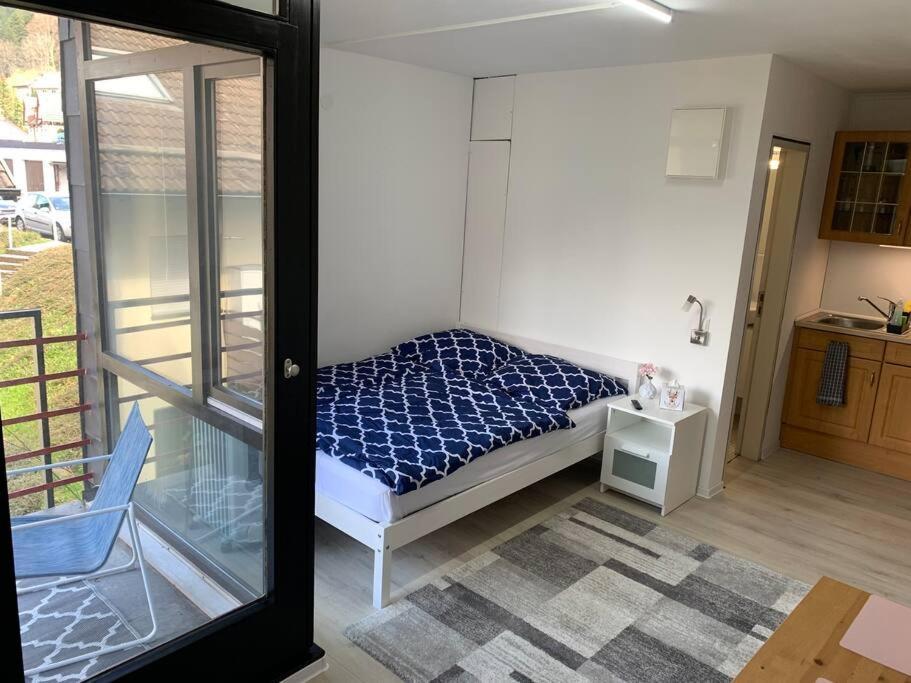 Kleines Einzimmer-Apartment 23 Bad Wildbad Exteriör bild